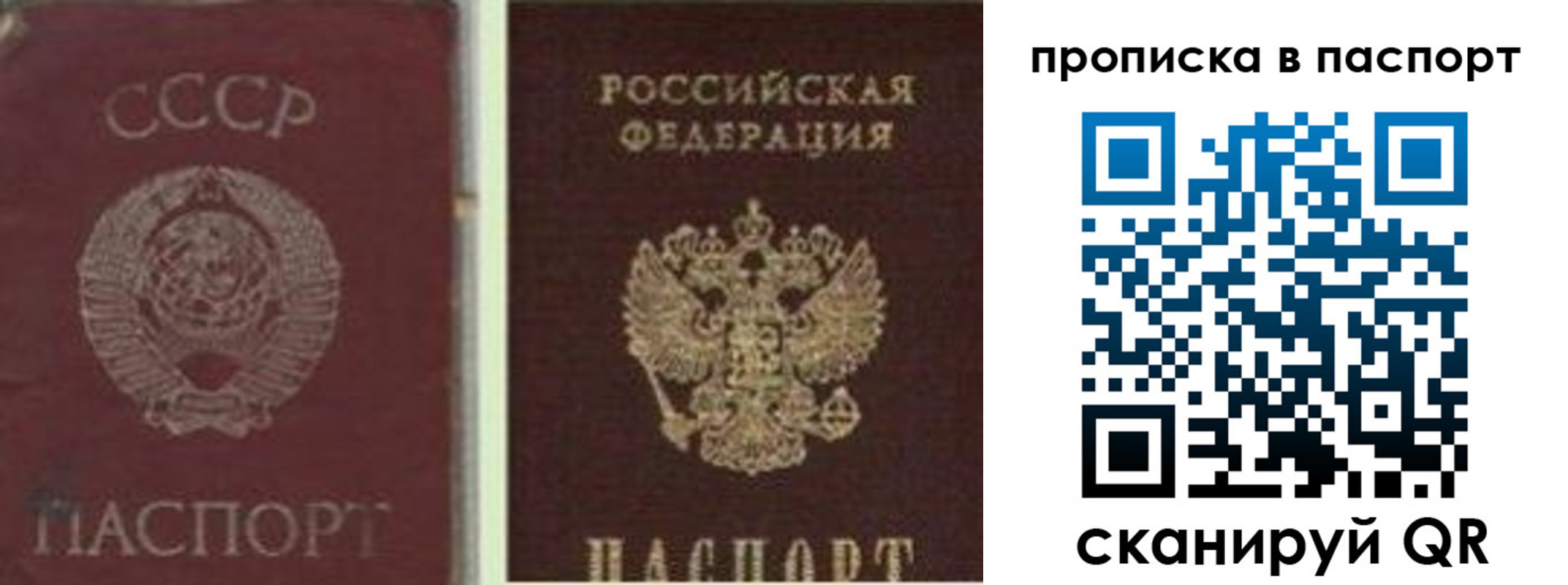 временная регистрация недорого в Камчатском крае